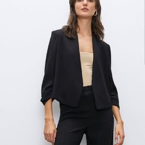 Aritzia Babaton Power Blazer (short)